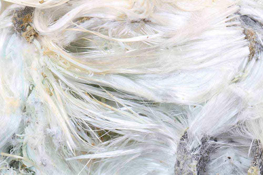 asbestos mineral