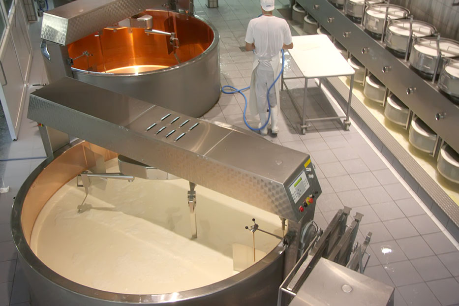 image of cheese manufacturing
